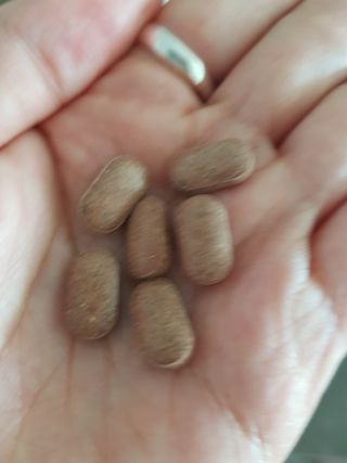 슬림플래닛 녹차카테킨 500mg 애프터밀 — 4점을 준 리뷰어가 2021년 9월 올린 사용 사진
