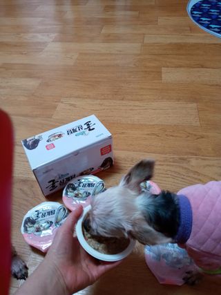 쪼꼬사랑이언니님이 올린 리뷰 사진 4