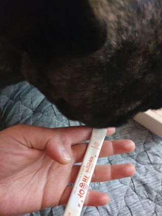My Pet Care 모발과 모질 피부건강에 개좋아 — 5점을 준 리뷰어가 2021년 1월 올린 사용 사진