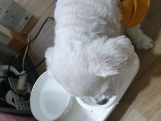 진진이님이 올린 리뷰 사진 4