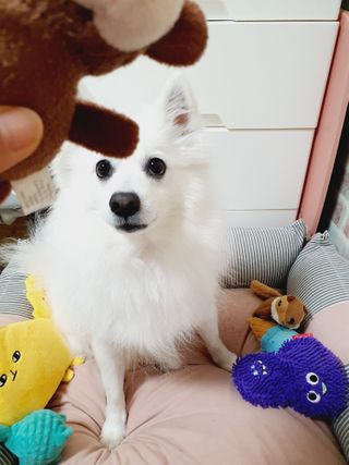 둥글이님이 올린 리뷰 사진 3