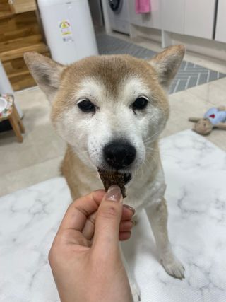 라미라미님이 올린 리뷰 사진 4