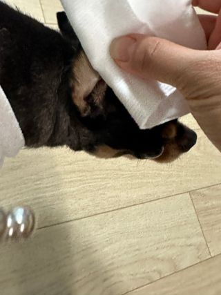 깡지님이 올린 리뷰 사진 3