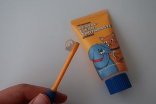 Pethroom 페스룸 PETHROOM DENTAL CARE SET 페스룸 덴탈 케어 세트 / 덴탈 클린 칫솔 + 덴탈 클린 치약 — 5점을 준 리뷰어가 2020년 12월 올린 사용 사진