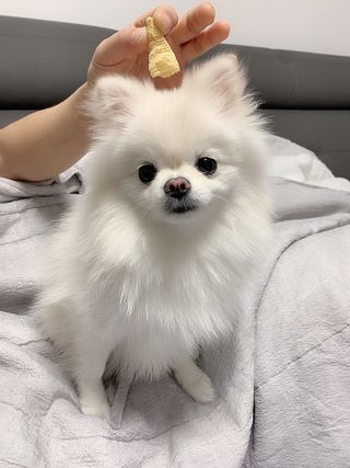 순덕아맘마먹자님이 올린 리뷰 사진 2