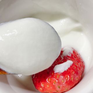 떠먹는불가리스 마이플레인 요거트 435g 6개입 — 3.5점을 준 리뷰어가 2021년 2월 올린 사용 사진