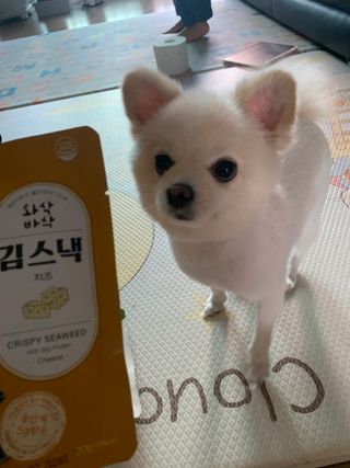 별이빛나길님이 올린 리뷰 사진 2