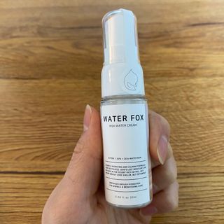 가치 WATERFOX(워터폭스)-엑토인시카.비옴 하이 워터크림 20ML — 5점을 준 리뷰어가 2023년 2월 올린 사용 사진