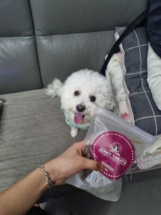 빙빙이님이 올린 리뷰 사진 3