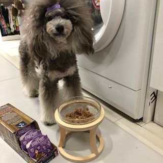 十二夜님이 올린 리뷰 사진 2