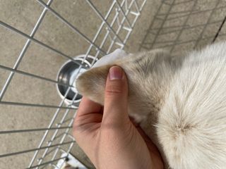 Jenny님이 올린 리뷰 사진 3