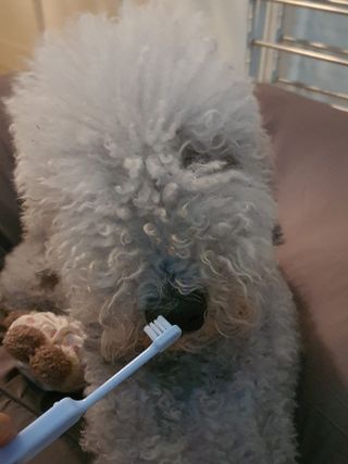 인스타(__180226)맞팔할게요💗님이 올린 리뷰 사진 3