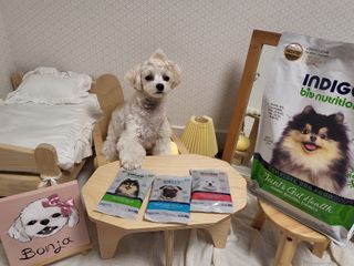 안혜리님이 올린 리뷰 사진 2