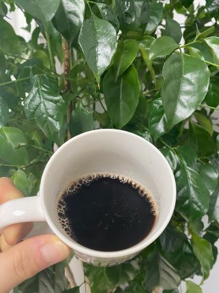 민트랄라님이 올린 리뷰 사진 3