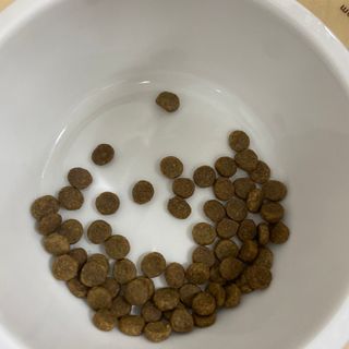 율집사님이 올린 리뷰 사진 3