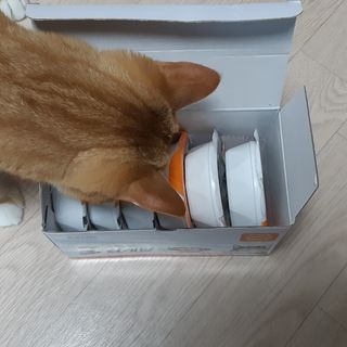 미야님이 올린 리뷰 사진 3