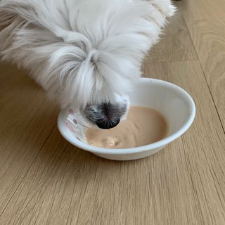 ZiunYang님이 올린 리뷰 사진 2