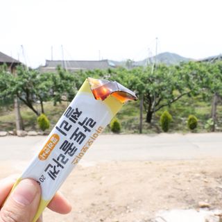 봄봄님이 올린 리뷰 사진 3