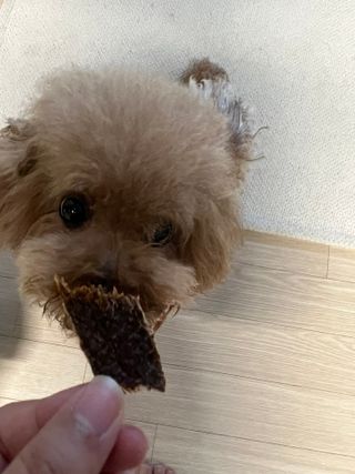 코끼리님이 올린 리뷰 사진 3
