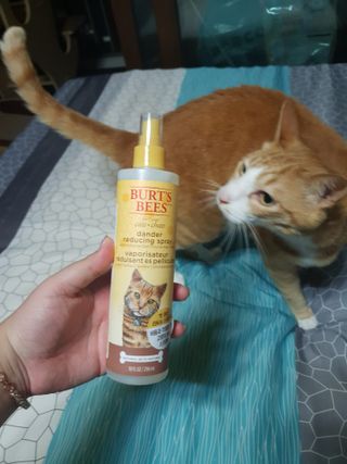 하린님이 올린 리뷰 사진 4