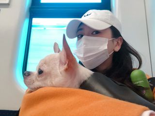 위케어 원데이 덴탈마스크 50매 화이트 대형 국내생산 — 5점을 준 리뷰어가 2021년 2월 올린 사용 사진