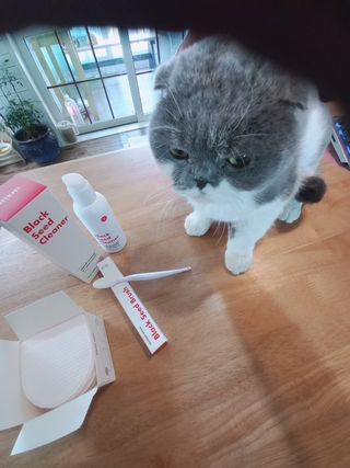좋아님이 올린 리뷰 사진 3