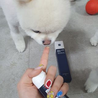 현이님이 올린 리뷰 사진 4