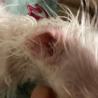 요닝이님이 올린 리뷰 사진 2
