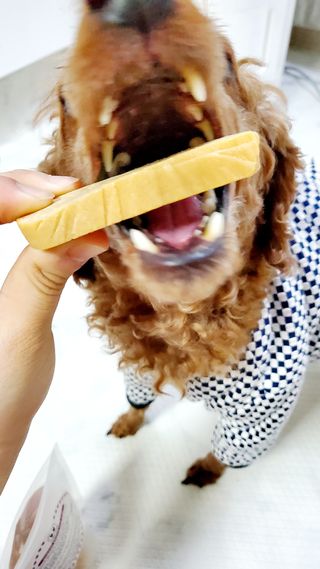 🌈🐩👨‍👩‍👧님이 올린 리뷰 사진 2