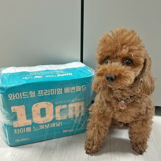 아베크 펫 와이드 프리미엄 대형 애견 강아지 배변 패드 30매 1팩 80g — 5점을 준 리뷰어가 2021년 7월 올린 사용 사진