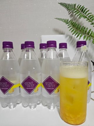 몽베스트 Montbest with Sparkling water Lemon OR Lime 20병(랜덤) — 5점을 준 리뷰어가 2024년 4월 올린 사용 사진