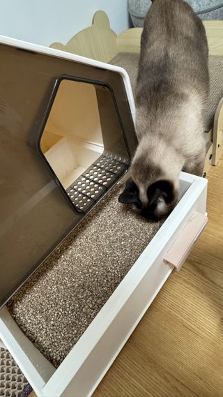 🌷님이 올린 리뷰 사진 2