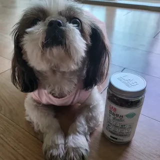 노이님이 올린 리뷰 사진 4