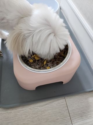뽀블리님이 올린 리뷰 사진 4