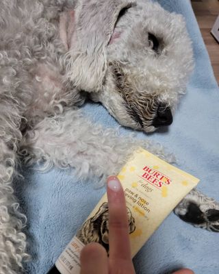 lemoniee님이 올린 리뷰 사진 2