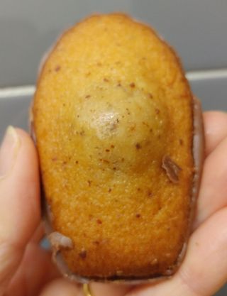 [메종콜리브리] 프랑스 마들렌 메종콜리브리 헤이즐넛 마들렌 2팩 — 5점을 준 리뷰어가 2021년 11월 올린 사용 사진