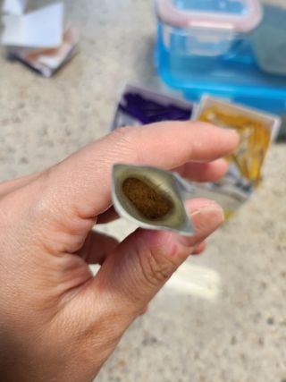 꽃다운하늘맘님이 올린 리뷰 사진 4