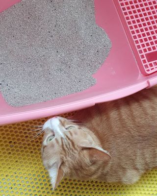 제니블링님이 올린 리뷰 사진 3