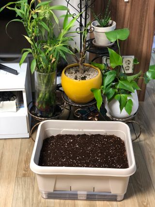유뽀레님이 올린 리뷰 사진 1