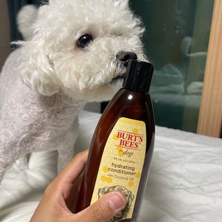 bongdam님이 올린 리뷰 사진 2