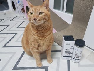 솔탄이love님이 올린 리뷰 사진 1