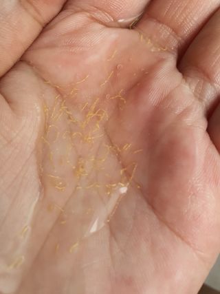 배엘세바님이 올린 리뷰 사진 3