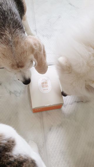 둘둘이님이 올린 리뷰 사진 3