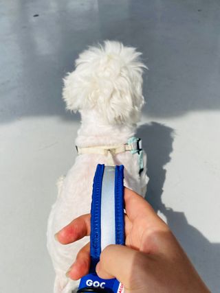 해바라기햇님님이 올린 리뷰 사진 1