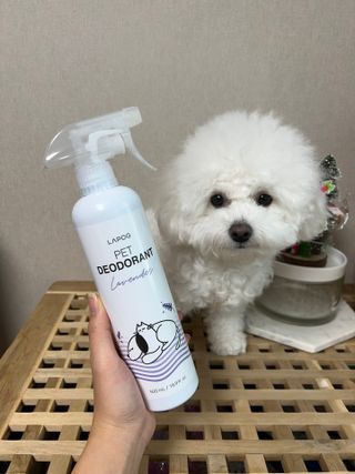 비니주니맘 :D님이 올린 리뷰 사진 1