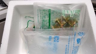 바나나아일랜드 그린바나나 와플 — 4점을 준 리뷰어가 2023년 10월 올린 사용 사진