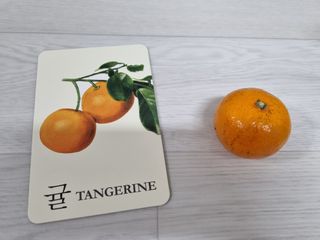 바바북스 바바 클래식 낱말카드 — 5점을 준 리뷰어가 2024년 1월 올린 사용 사진