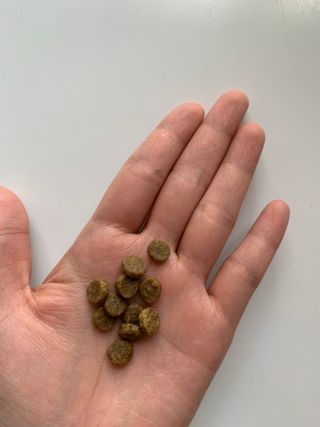 토우 프레이 칠면조 캣 — 5점을 준 리뷰어가 2021년 5월 올린 사용 사진