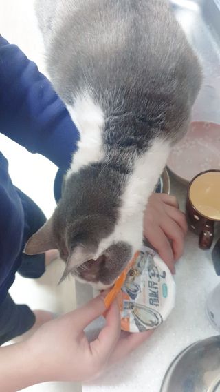 코린이님이 올린 리뷰 사진 3