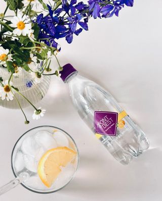 몽베스트 Montbest with Sparkling water Lemon OR Lime 20병(랜덤) — 5점을 준 리뷰어가 2024년 4월 올린 사용 사진